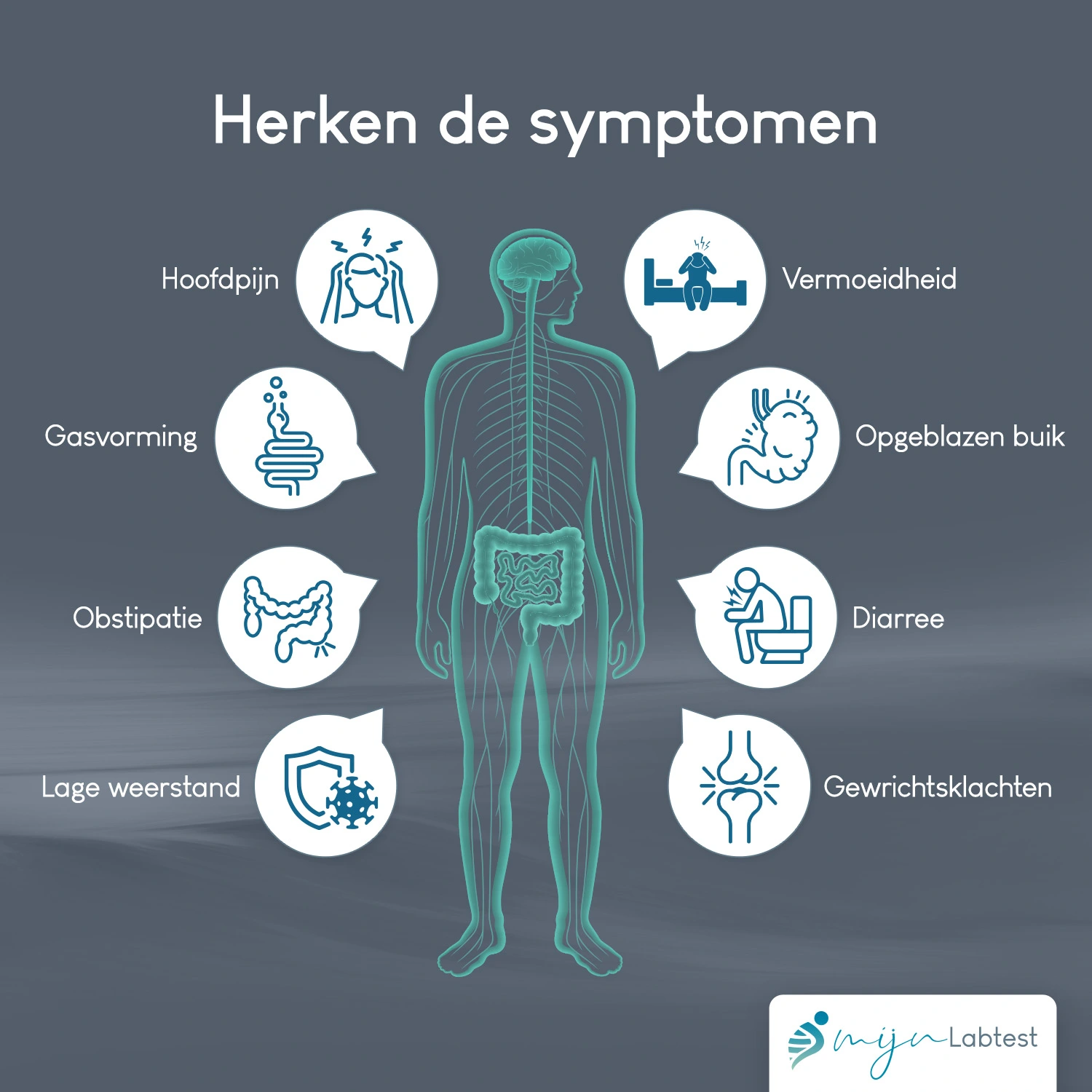 Infographic over het lekkende darmsyndroom met verschillende symptomen, zoals darmklachten, vermoeidheid, hoofdpijn en huidproblemen.