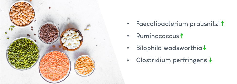 Microbioom en voeding