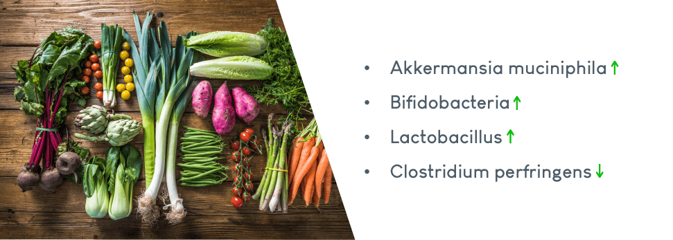 Microbioom en voeding