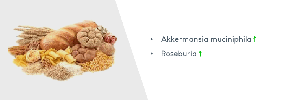 Microbioom en voeding