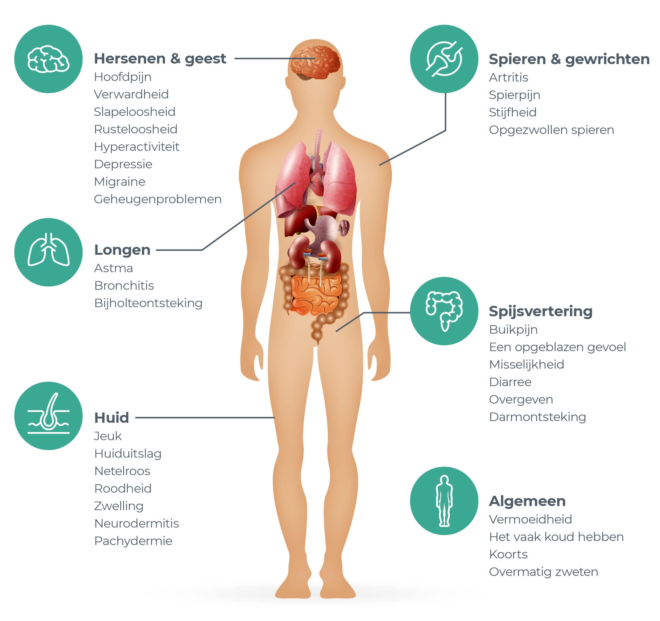 Overzicht van symptomen van een voedselintolerantie, waaronder buikpijn, een opgeblazen gevoel, diarree, misselijkheid, hoofdpijn en vermoeidheid. De afbeelding illustreert hoe het lichaam kan reageren op bepaalde voedingsmiddelen bij een intolerantie.